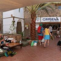 camel dive club & hotel