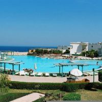 royal paradise resort