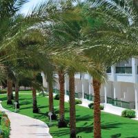 baron palms resort