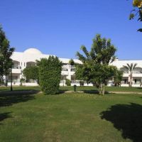 coral beach resort montazah