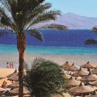 baron palms resort