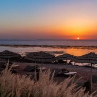 cleopatra luxury resort sharm el sheikh