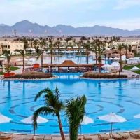 hilton sharks bay resort