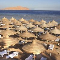 baron palms resort