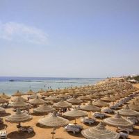 baron palms resort