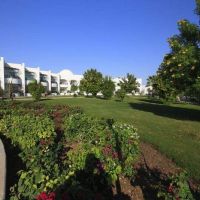 coral beach resort montazah