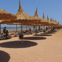 gardenia plaza hotel & resort
