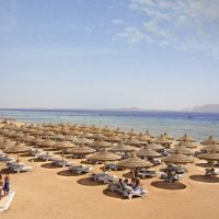 baron palms resort
