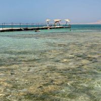 gardenia plaza hotel & resort