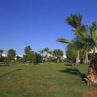 coral beach resort montazah