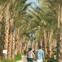 regency plaza aqua park & spa