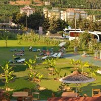 kleopatra royal palm hotel