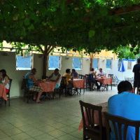 kleopatra sahara hotel