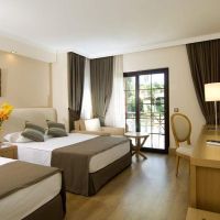 gypsophila holiday village