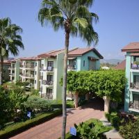 gypsophila holiday village