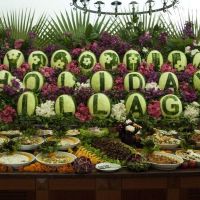 gypsophila holiday village