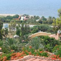 club gunes garden
