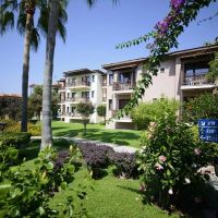 gypsophila holiday village