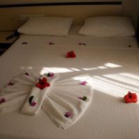 blue velvet hotel