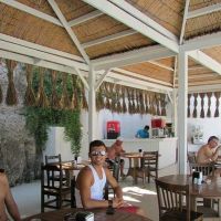 gumbet aquarium beach hotel