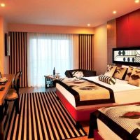 delphin imperial lara