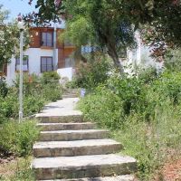 gumbet aquarium beach hotel