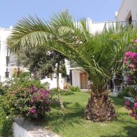 rosso verde hotel