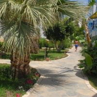 gumbet sun club bodrum (ex. peda hotels sun club bodrum)