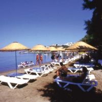 peda hotels blue bodrum beach