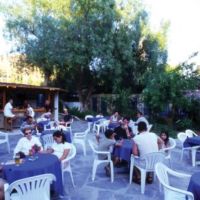 peda hotels blue bodrum beach