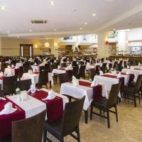 garden of sun hotel