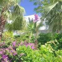 blue dreams resort & spa hv-1/5*