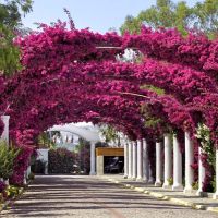 kadikale resort spa & wellness