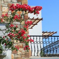 magic life bodrum (ex. ersan resort & spa)