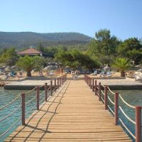 patio beach club