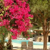 summer sun beach hotel