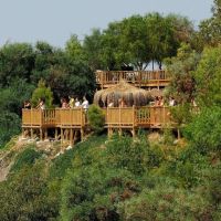 green beach resort hotel