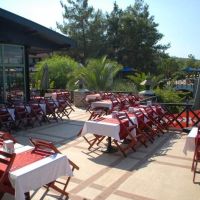 patio beach club