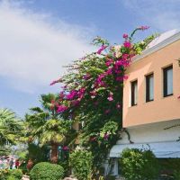 izer hotel & beach club