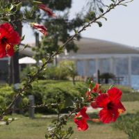 d resort gocek