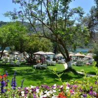 sun city hotel & beach club