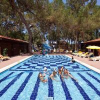 champion holiday village
