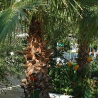 grand hotel derin