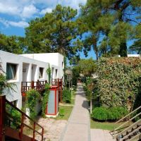club phaselis