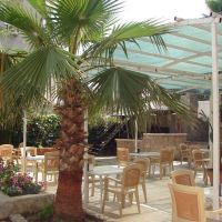 endam hotel
