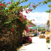 daima resort hotel