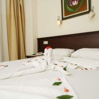 bona dea park hotel