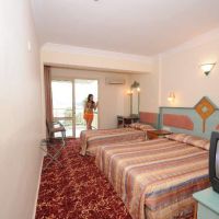 flamingo  hotel
