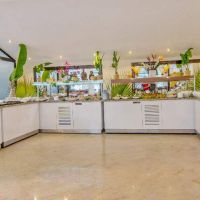 hotel palmea