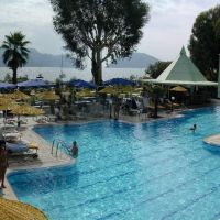 flamingo  hotel
